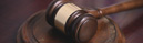 Enforcement and Employment Verification