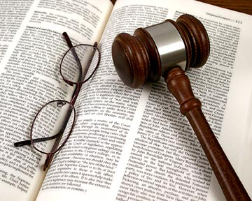 Litigation Issue Pages